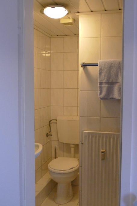 Ein kleines, helles Badezimmer mit Toilette, Handtuchhalter und Heizung.